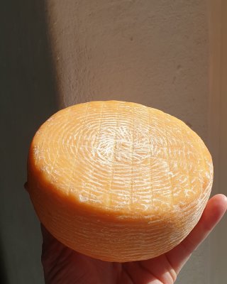 Ekologisk ost